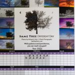 Same Tree Different Day Calendar