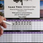 Same Tree Different Day Calendar