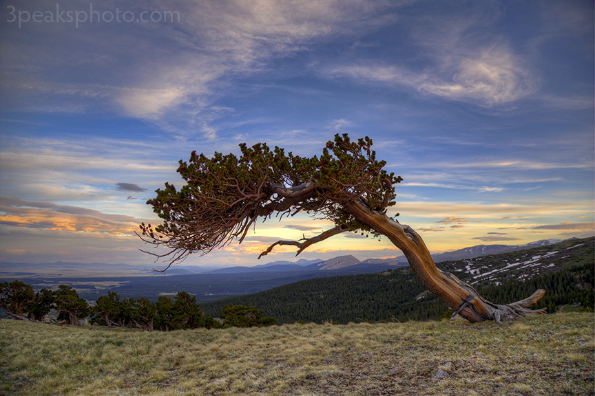 _MG_6705_6_7_Enhancer